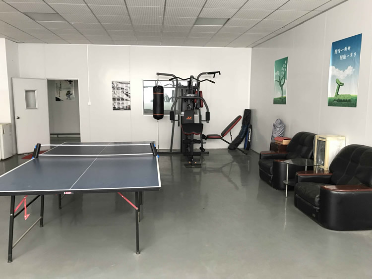 Recreation Room